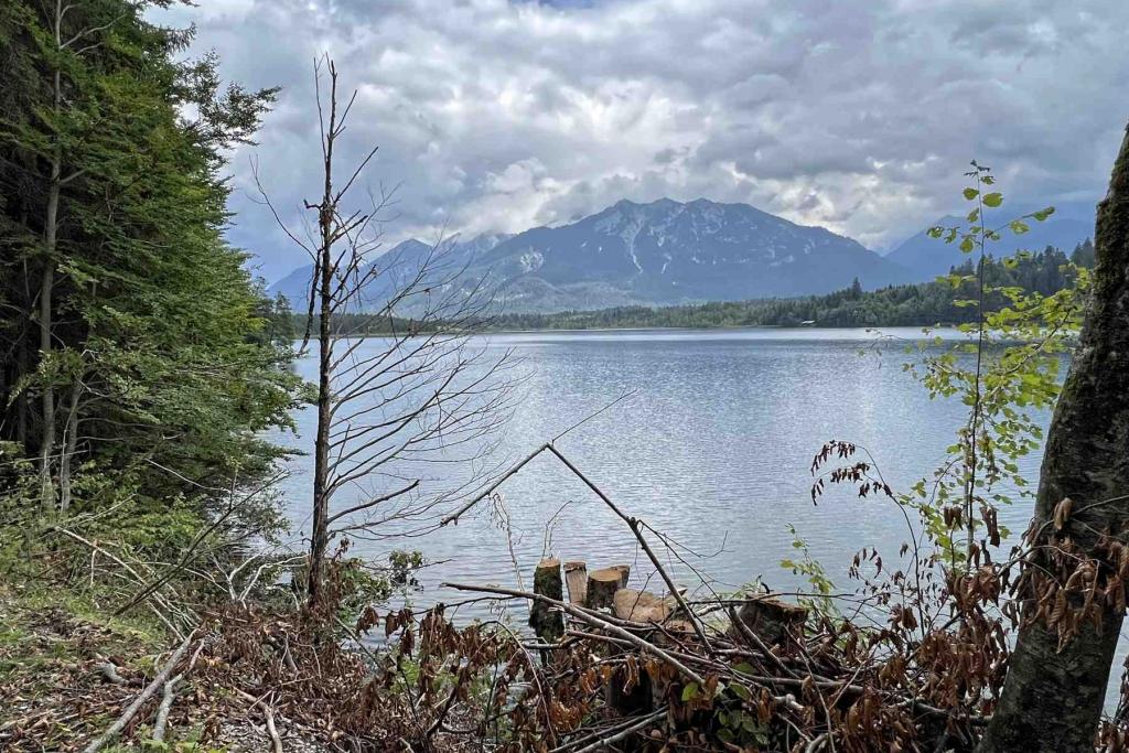 Barmsee