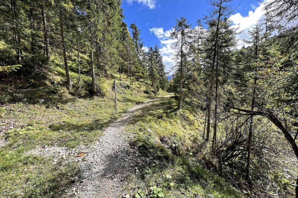 Wanderweg 452 zur Finzalm