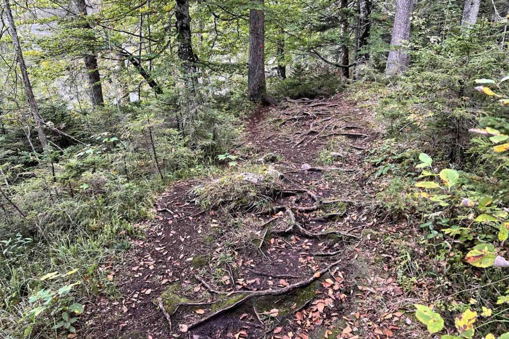 Finzbachklamm Weg 450