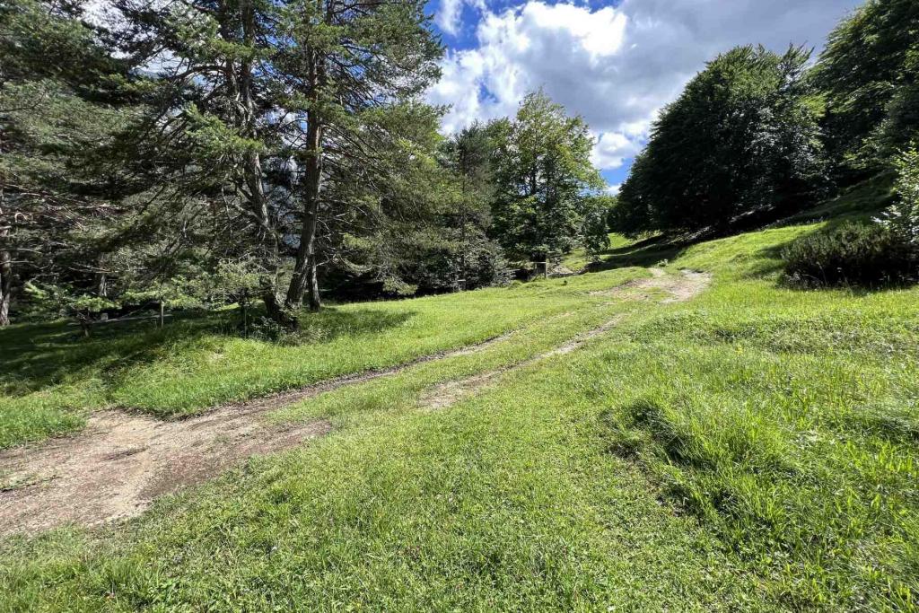 Wanderweg Abzweig Mittenwald ohne Wegweiser