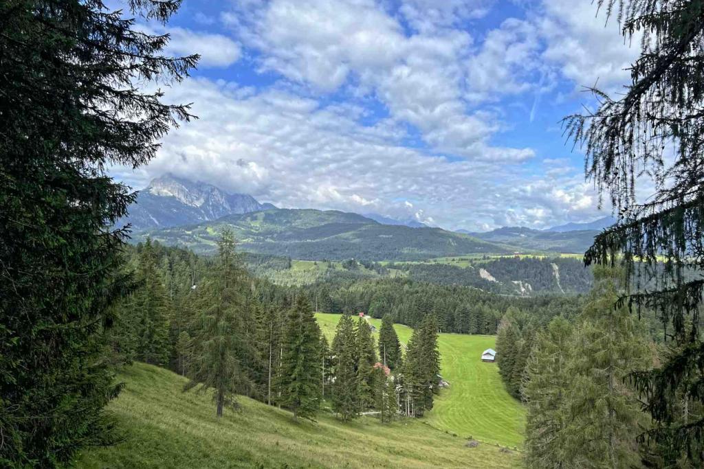 IMG_6232 Jaegersteig