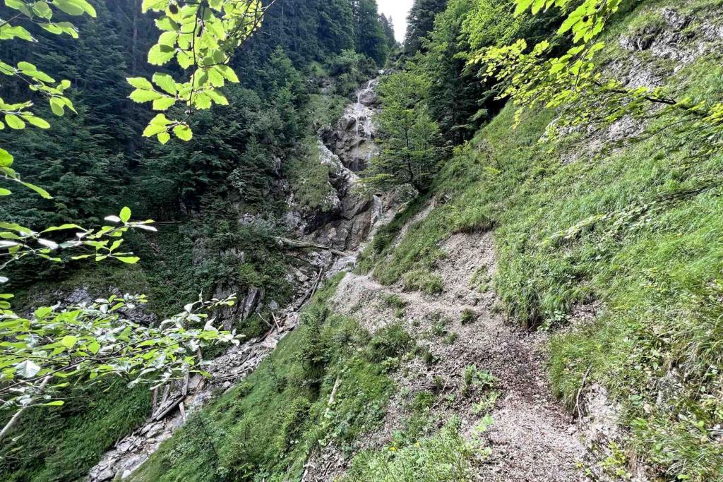 IMG_6252 Jaegersteig Weg