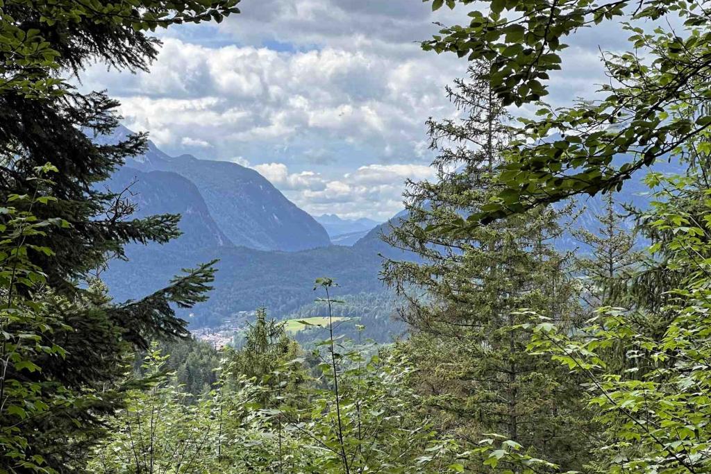 IMG_6305 Seinsbachtal Ausblick